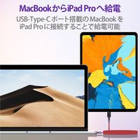 タイプCケーブル (USB-C to C) PD対応 60W 高耐久 2m 赤 MPA-CCS20PNRD エレコム 1本