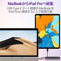 タイプCケーブル (USB-C to C) PD対応 60W 高耐久 1.2m 黒 MPA-CCS12PNBK エレコム 1本