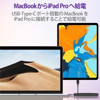 タイプCケーブル (USB-C to C) PD対応 60W 高耐久 2m 黒 MPA-CCS20PNBK エレコム 1本