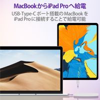 タイプCケーブル (USB-C to C) PD対応 60W 高耐久 2m 白 MPA-CCS20PNWH エレコム 1本