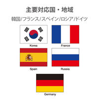 日本用変換プラグ コンセント SEタイプ 海外向け→日本国内向け 1個口 ホワイト T-NHPASEWH エレコム 1個