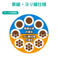 RJ45コネクタ CAT6・CAT6A対応 単線・ヨリ線対応 100個入り LD-6RJ45T100 1袋（100個入）（直送品）