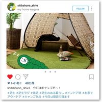 萩原 芝生風ラグ シーヴァ 450×2400mm 240622990 1枚（直送品）