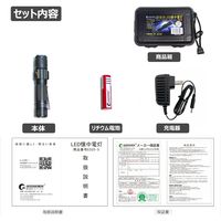 グッド・グッズ LED懐中電灯 ED25-S 1個