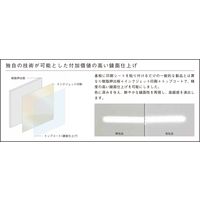 【建築資材・浴室用床シート】フクビ化学工業 壁面化粧パネル 鏡面アルパレージ　KMA AP2KMA 1梱包（2枚入）（直送品）