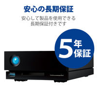 HDD 外付け 8TB 据え置き 5年保証 1big Dock STHS8000800 LaCie 1個
