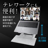 磁気研究所 ノートパソコンスタンド HD-ALMPCSTSV 1個