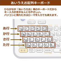 カシオ計算機 カシオネームランド KL-H75 1個