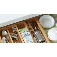 【使いきり手袋】 宇都宮製作 クイン バイオマス手袋 粉なし L PVC0456PFTBL 1箱（40枚入）（わけあり品）