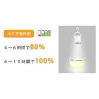 かりはな製作所 蓄電型LED電球 防災電球 電球色 KS-01OR 1個