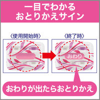 【セール】ムシューダ 1年間有効 引き出し・衣装ケース用 やわらかフローラルの香り 1セット（24個入×3箱） エステー
