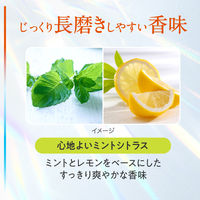 ピュオーラ PureOra36500 歯磨き粉 薬用歯の根元コートジェルハミガキ つけかえ用 115g 1個 花王