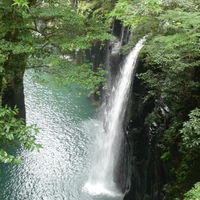 ひむかのくろうま 25度 1.8L パック　1本 麦焼酎　神楽酒造