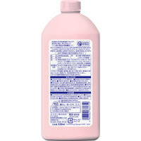 チャーミー 泡のチカラ 手肌プレミアム 詰め替え 530mL 1セット（1個×3） ライオン