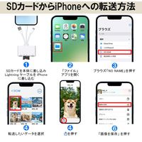 ベスト・アンサー カードリーダー SD micro-SD USBメモリー アプリ不要 life-126 1個（直送品）