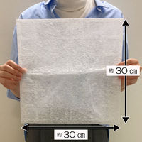 （限定）フィルたん パッと貼るだけ ホコリとりフィルター 換気扇用 30cm 1箱（25枚入）東洋アルミエコープロダクツ オリジナル