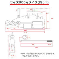 ベスト・アンサー ハンドウインチ スチールボディ 800kg 10m ブラック diy-074-10m-bk 1台（直送品）