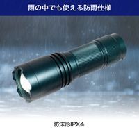 朝日電器 大光量アルミライト1000LM DOP-EP1000 1個