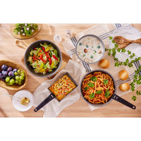 アイリスオーヤマ フライパン ダイヤモンドコートパン ガス12点セット クレイベージュ DCG-T12S 1セット