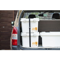 アイリスオーヤマ TRAILBOX 400幅 頑丈ボックス ホワイトアッシュ TRB-400 1個