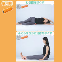 池商 ほぐし用ローラー3種セット GR-FIT008 1セット（直送品）