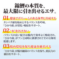キョーリン 咲ひかりR 育成用 浮上 M 2kg 239526 1個（直送品）