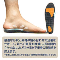 ショールズウェルネスカンパニー ショール インバランス フットストレス吸収インソール 腰 SーM 866956 1セット(18個)（直送品）