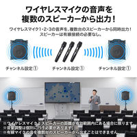 サンワサプライ ワイヤレスマイク付き拡声器スピーカー(バッテリー内蔵・ワイヤレスマイク3本対応) MM-SPAMP16 1個（直送品）