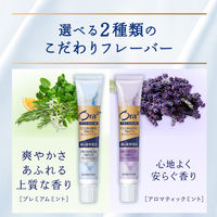 歯磨き粉 ホワイトニング Ora2（オーラツー）プレミアム クレンジングペースト アロマティックミント 17g 1セット（10本）集中美白