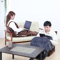 イー・エム・エー 着る電気毛布 歩けるこたつ ひざ掛け 温度8段階調整 切タイマー付 洗濯可能 SR-TP115-DB 1枚（直送品）