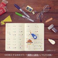 プラス マスキングテープ Deco Rush（デコラッシュ） 幅6mm ブルー 買い物 51887 10個