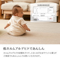 【玄関渡し】 萩原 置くだけファブリック置き畳　ボーナ　同色9枚組 ブラウン 82×82×2.5cm（直送品）