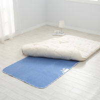 除湿シート サラネル シングルサイズ  1枚 西川 消臭 加齢臭対策 吸湿センサー付き 布団 湿気取り 除湿マット 吸湿 防湿 吸水シート