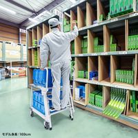 サンワサプライ ステップ付きピッキングカート RAC-FA7 1個（直送品）