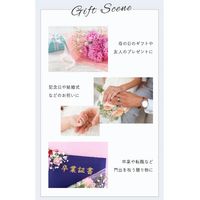 【数量限定・母の日ギフト】 入浴剤 シャン・ド・フルール ボックスバスペタル プリエール 1個 ノルコーポレーション