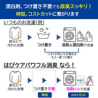 LION 介護 はぴケア パワフル消臭 業務用 洗濯洗剤 濃縮 液体 詰め替え 4.3kg 1箱（3個入） ライオン