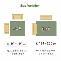 イケヒコ・コーポレーション ラグ い草 リーフ 抗菌防臭 NSセレス 1910×2500mm ワイン 1060710284304 1枚（直送品）