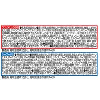 日清食品 日清MUGヌードル（マグヌードル） 1セット（1袋(4食入)×6） 栄養機能食品  インスタントラーメン 袋麺 スープ