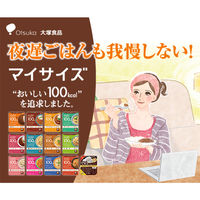 マイサイズ 100kcal キーマカレー 中辛 1人前・100g 1セット（3個）大塚食品 レンジ対応 レトルト