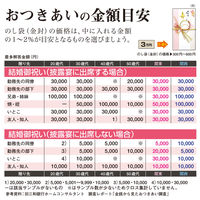 ササガワ 新金封 祝用 OA短冊 27-5355 1セット(1枚×5)