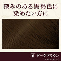 メンズビゲン TAKUMI -匠- 6 ダークブラウン 白髪染め ホーユー