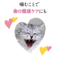 （バラエティパック）モンプチ クリスピーキッス グレイビーソースかけ 2種アソート 144g（6g×24袋）3袋 猫用 おやつ