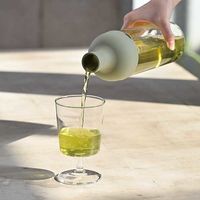 HARIO（ハリオ）冷水筒 フィルターインボトル 水出し 耐熱ガラス製 スモーキーピンク 750ml 日本製 熱湯・食洗機対応 1個