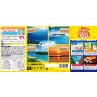 入浴剤 バスロマン 旅する沖縄 バスソルト 4種アソート 1箱（12包入） アース製薬