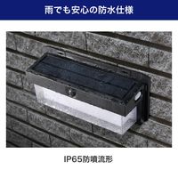 朝日電器 二重構造ウォールライト 大型 ESL-KN400SL 1個