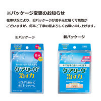 ニチバン 家庭用創傷パッド 救急絆創膏 ケアリーヴ 治す力 防水タイプ ジャンボサイズ 80mm×100mm CNB4J 1箱（4枚入）