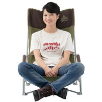 LOGOS Life ハイバックあぐらチェア プラス（ブラウン） 73173084 LOGOS/ロゴス