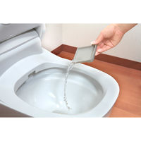 サンコー トイレブラシ ケース付 1個 水だけで汚れが落とせる 傷がつきにくい スリム グリーン びっくりフレッシュ BF-49