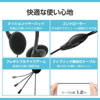 エレコム ヘッドセット ノイズキャンセリング オーバーヘッド Type-C 変換アダプタ付 HS-HP13SCBK 1個（直送品）