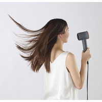 アイリスオーヤマ ドライヤー 大風量 ヘアドライヤー MiCOLA ミコラ クイックイオンドライヤー HDR-M301-H ダークグレー 1台